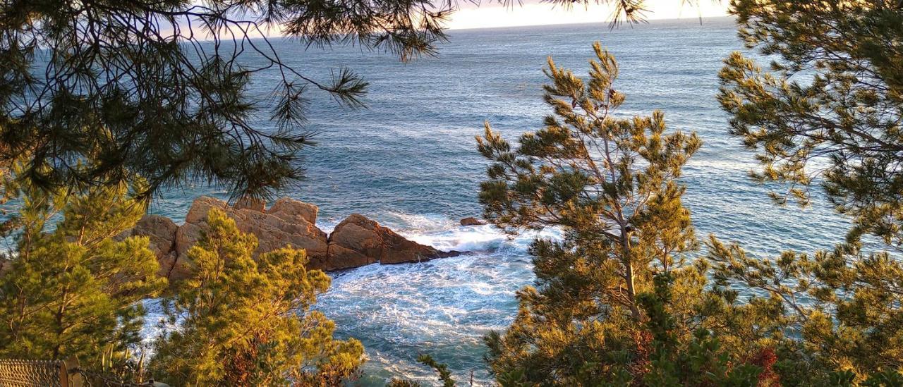 Le Paradis Bleu Calanque De Figuieres, Paddle Et Veranda Ансюес-ла-Родон Екстериор снимка